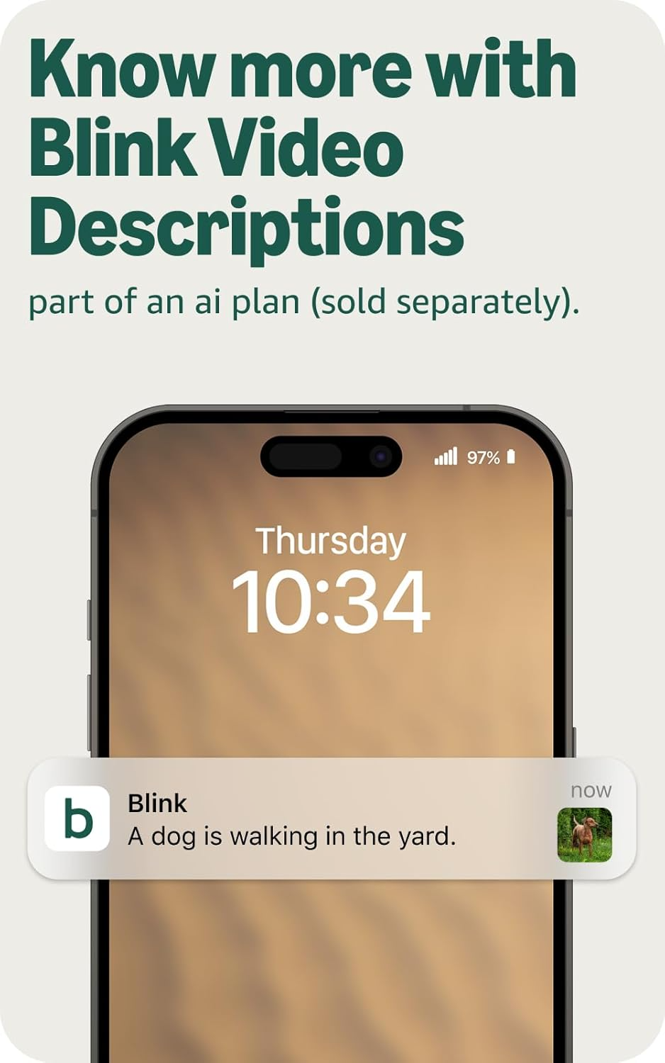 Mini 2K+